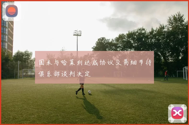 国米与哈莱利达成协议交易细节待俱乐部谈判决定