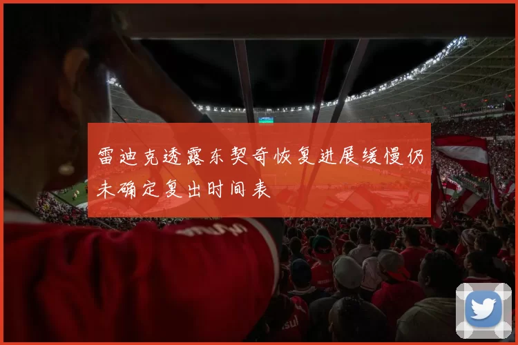 雷迪克透露东契奇恢复进展缓慢仍未确定复出时间表
